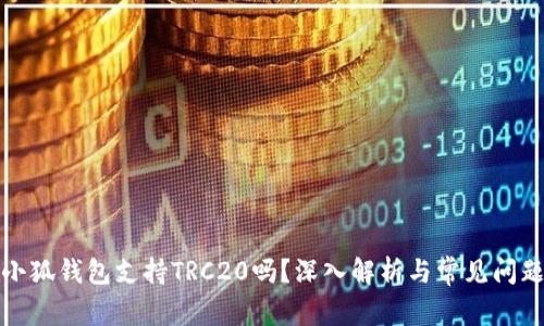 小狐錢(qián)包支持TRC20嗎？深入解析與常見(jiàn)問(wèn)題