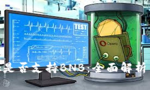 MetaMask是否支持BNB:全面解析與用戶(hù)指南