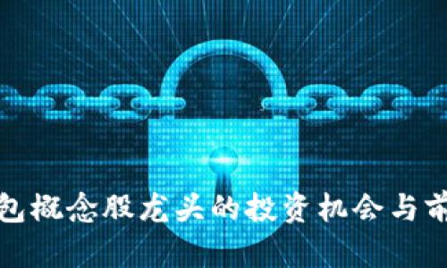 數字錢(qián)包概念股龍頭的投資機會(huì )與前景分析