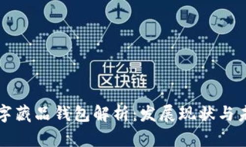 國內數字藏品錢(qián)包解析:發(fā)展現狀與未來(lái)趨勢