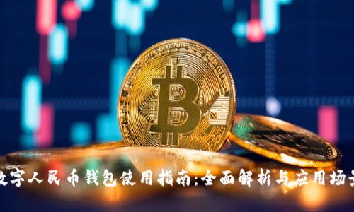 數字人民幣錢(qián)包使用指南:全面解析與應用場(chǎng)景