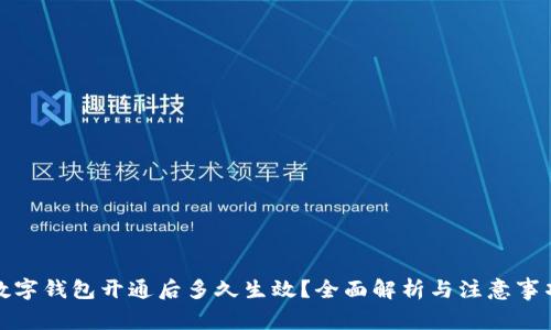 數字錢(qián)包開(kāi)通后多久生效？全面解析與注意事項