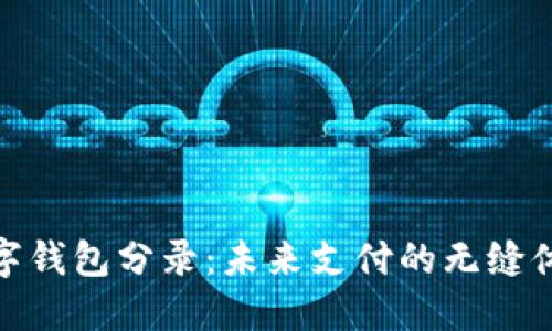 數字錢(qián)包分錄:未來(lái)支付的無(wú)縫體驗