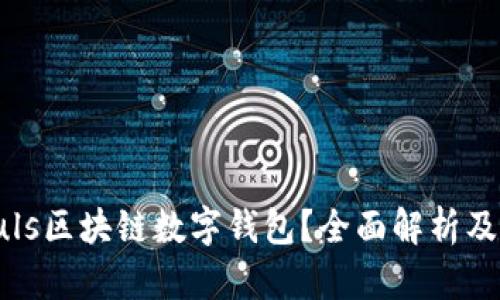 什么是Puls區塊鏈數字錢(qián)包？全面解析及應用前景