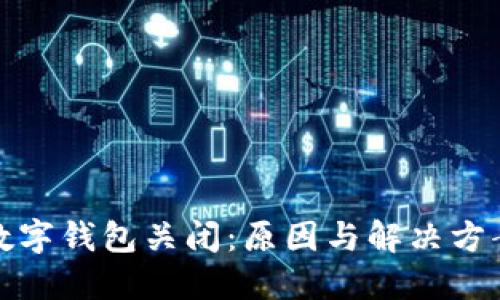農行數字錢(qián)包關(guān)閉:原因與解決方案詳解