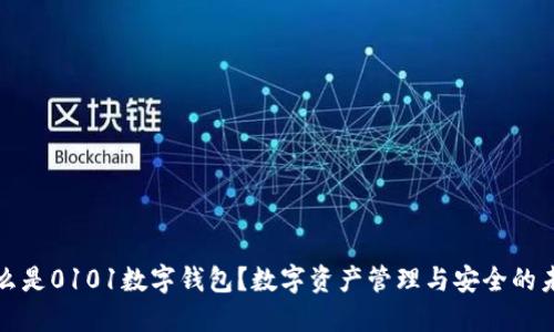 什么是0101數字錢(qián)包？數字資產(chǎn)管理與安全的未來(lái)