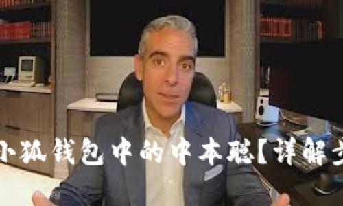 如何找回小狐錢(qián)包中的中本聰？詳解步驟與技巧