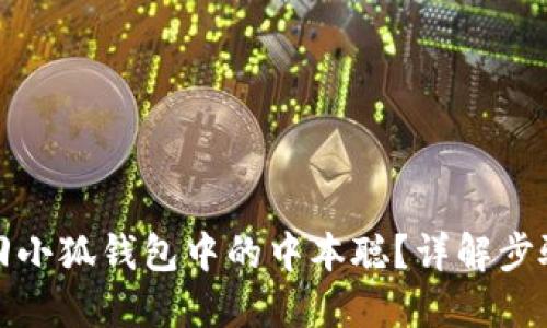 如何找回小狐錢(qián)包中的中本聰？詳解步驟與技巧