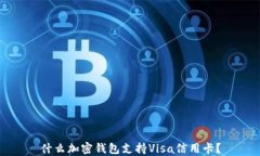 什么加密錢(qián)包支持Visa信用