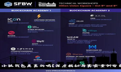  小狐錢(qián)包是真的嗎？深度揭秘與真實(shí)案例分析