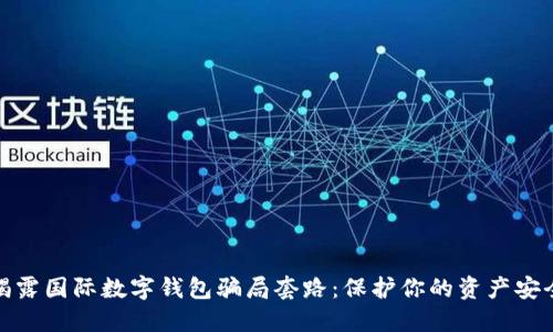 揭露國際數字錢(qián)包騙局套路:保護你的資產(chǎn)安全