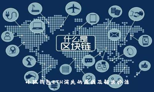 小狐錢(qián)包ETH消失的原因及解決辦法