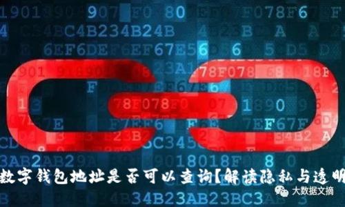 數字錢(qián)包地址是否可以查詢(xún)？解讀隱私與透明