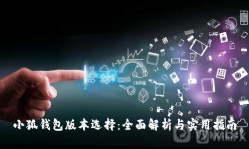 小狐錢(qián)包版本選擇:全面解析與實(shí)用指南