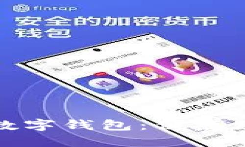 探索印尼的數字錢(qián)包:便捷支付與安全性