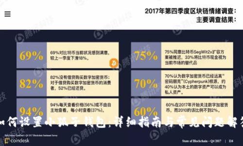 如何設置小狐子錢(qián)包:詳細指南與常見(jiàn)問(wèn)題解答