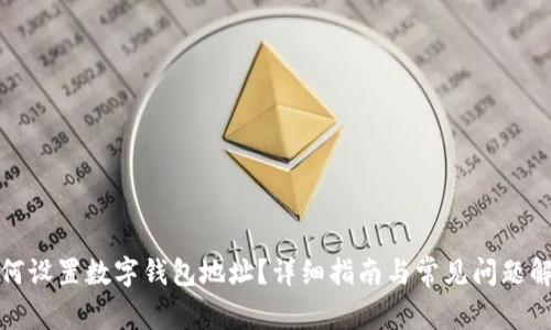 如何設置數字錢(qián)包地址？詳細指南與常見(jiàn)問(wèn)題解答