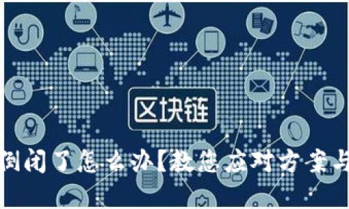 小狐錢(qián)包倒閉了怎么辦？教您應對方案與投資建議