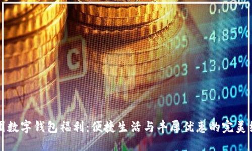 美團數字錢(qián)包福利:便捷生活與豐厚優(yōu)惠的完美結合