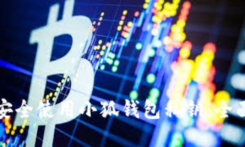如何安全使用小狐錢(qián)包私鑰:全面指南