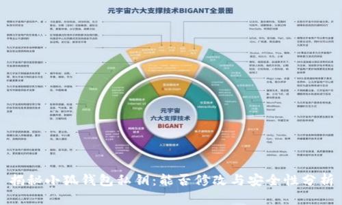 揭秘小狐錢(qián)包私鑰:能否修改與安全性分析