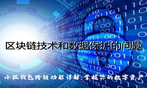 小狐錢(qián)包跨鏈功能詳解:掌握你的數字資產(chǎn)