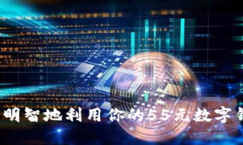 如何明智地利用你的55元數字錢(qián)包？
