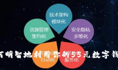 如何明智地利用你的55元數字錢(qián)包？