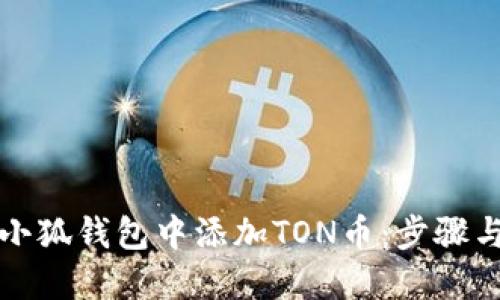 如何在小狐錢(qián)包中添加TON幣:步驟與小技巧