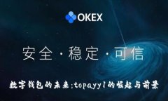 數字錢(qián)包的未來(lái)：topayy1的