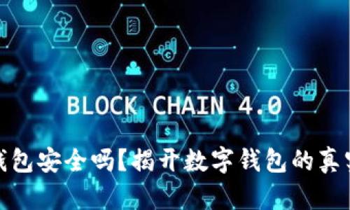 小狐錢(qián)包安全嗎？揭開(kāi)數字錢(qián)包的真實(shí)面紗