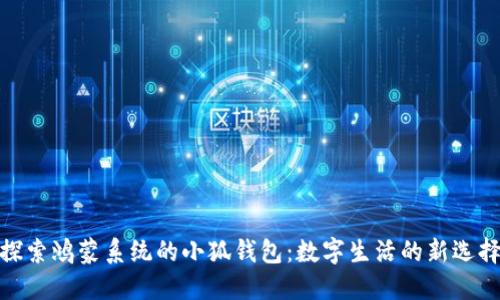 探索鴻蒙系統的小狐錢(qián)包:數字生活的新選擇