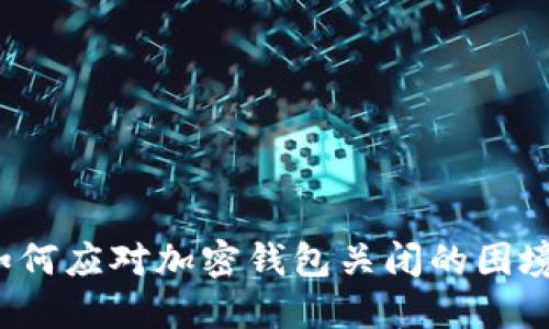 如何應對加密錢(qián)包關(guān)閉的困境？