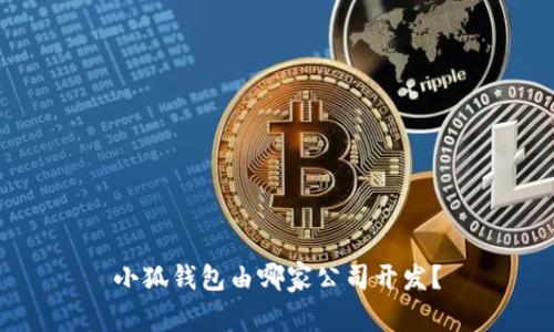 小狐錢(qián)包由哪家公司開(kāi)發(fā)？
