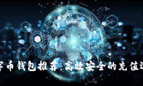 數字幣錢(qián)包推薦:高效安全的充值選擇