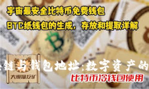 區塊鏈與錢(qián)包地址:數字資產(chǎn)的橋梁