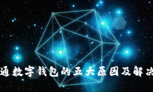 未開(kāi)通數字錢(qián)包的五大原因及解決方案