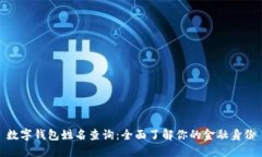 數字錢(qián)包姓名查詢(xún)：全面