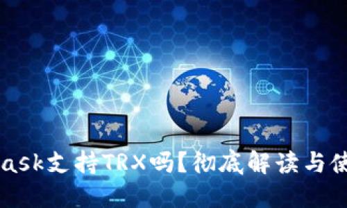 MetaMask支持TRX嗎？徹底解讀與使用指南