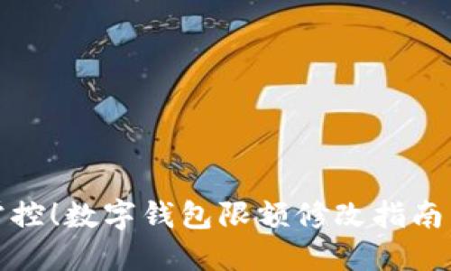 輕松掌控！數字錢(qián)包限額修改指南與技巧