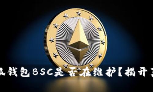 小狐錢(qián)包BSC是否在維護？揭開(kāi)真相