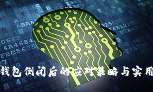 小狐錢(qián)包倒閉后的應對策略與實(shí)用建議