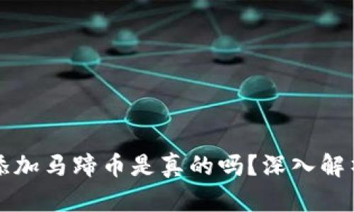 小狐錢(qián)包添加馬蹄幣是真的嗎？深入解析背后真相