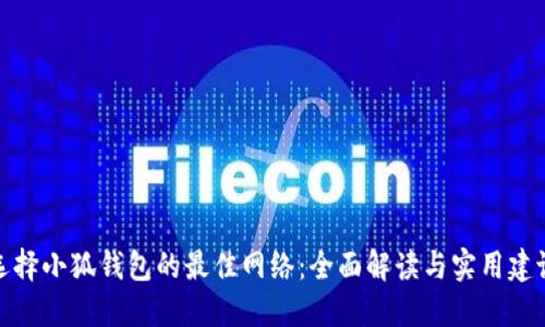 選擇小狐錢(qián)包的最佳網(wǎng)絡(luò ):全面解讀與實(shí)用建議