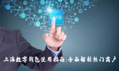 上海數字錢(qián)包使用指南：