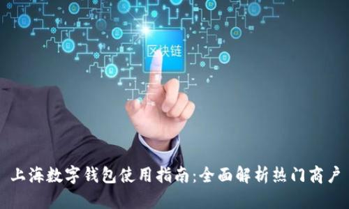 上海數字錢(qián)包使用指南:全面解析熱門(mén)商戶(hù)