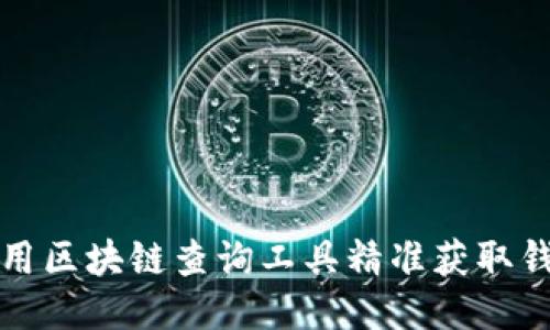 如何使用區塊鏈查詢(xún)工具精準獲取錢(qián)包信息