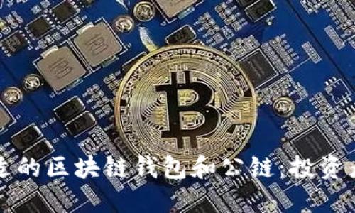 如何選擇合適的區塊鏈錢(qián)包和公鏈:投資者的詳盡指南