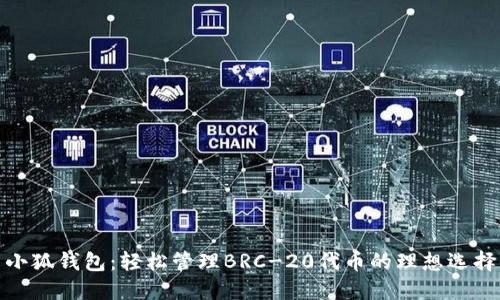 小狐錢(qián)包:輕松管理BRC-20代幣的理想選擇