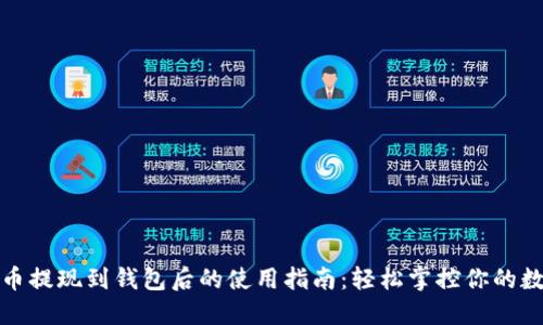 加密貨幣提現到錢(qián)包后的使用指南:輕松掌控你的數字資產(chǎn)